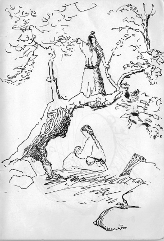 Kalasch Maulbeerbaum